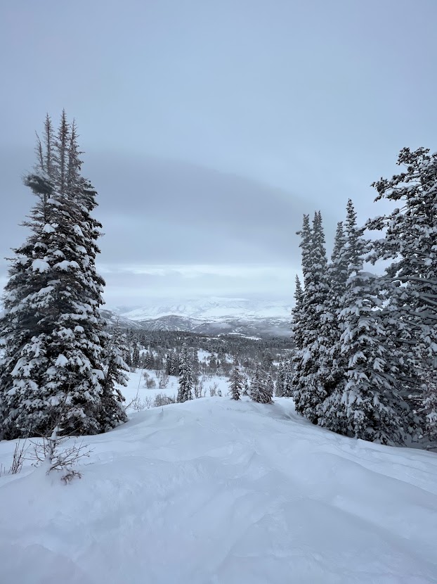 snowbasin on a powder day