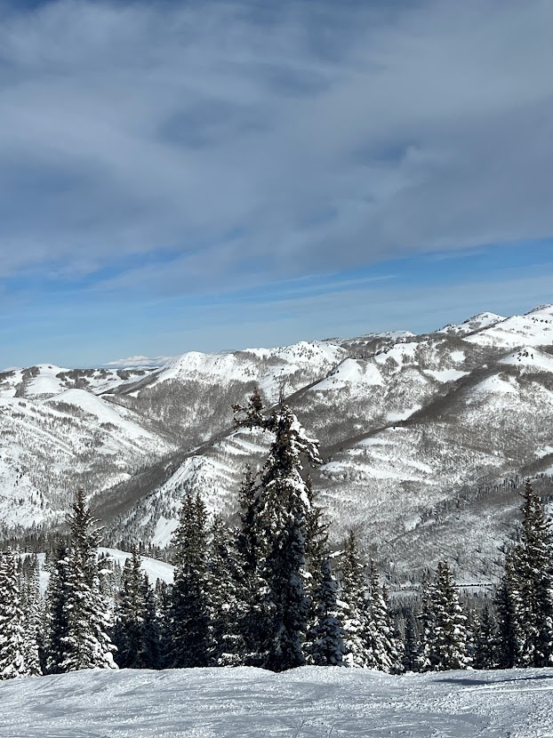 view from solitude summit